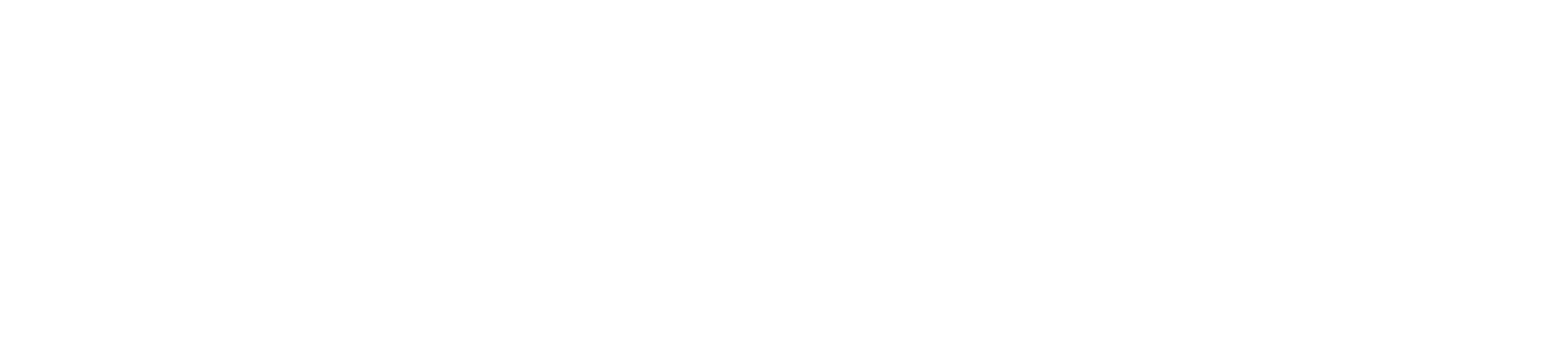 WordPress Partner